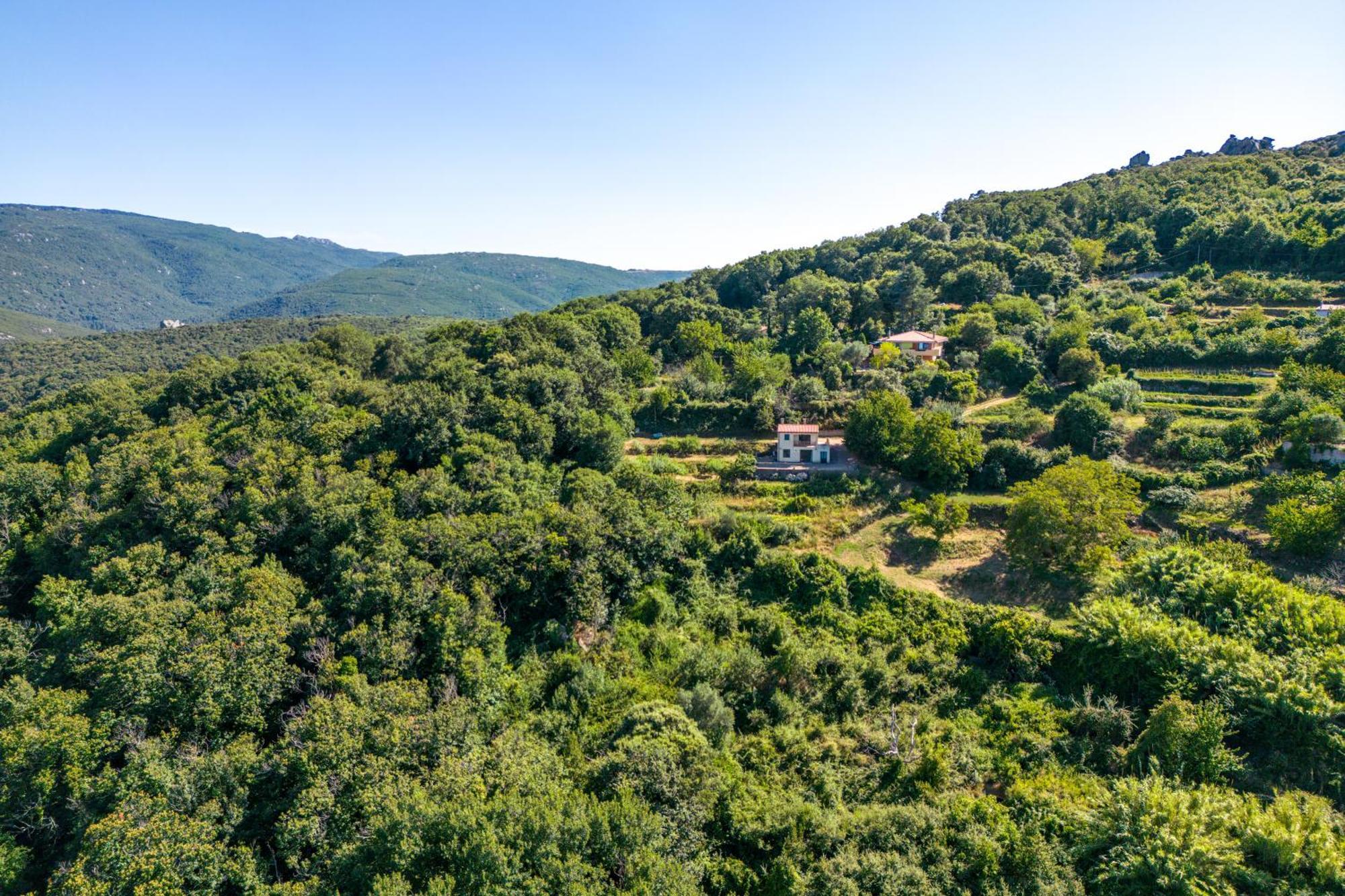 Home On The Hill Tempio Pausania Luaran gambar
